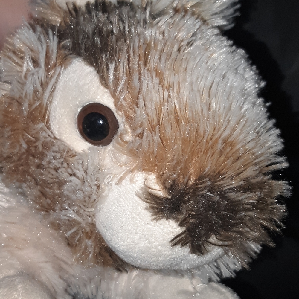 Dan Dee Collection Realistic Plush Easter Rabbit - Picture 6 of 8